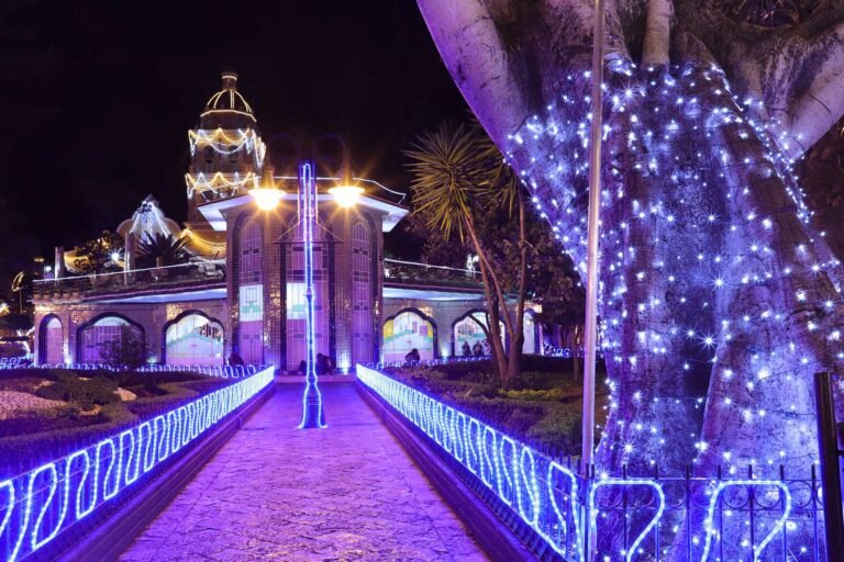 actividades-en-puebla-navidad