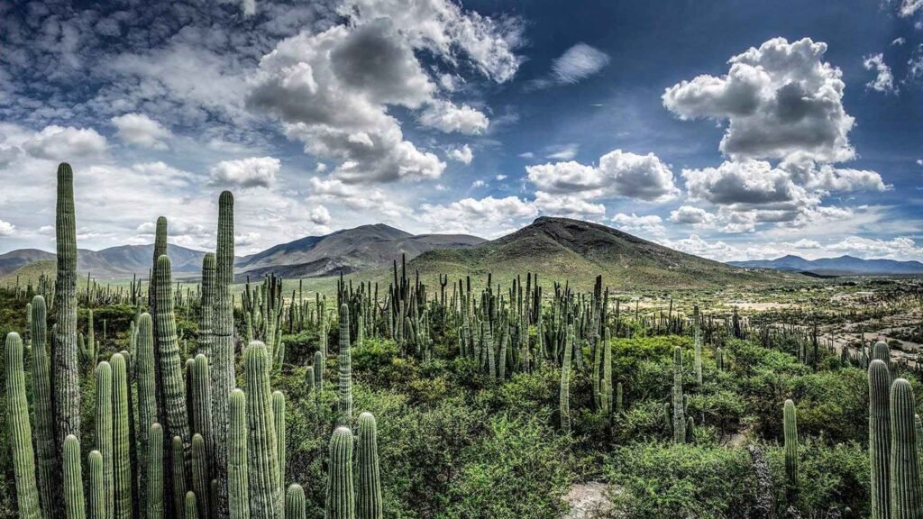 maravillas-naturales-puebla