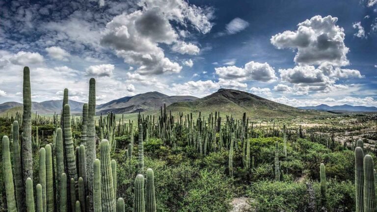 maravillas-naturales-puebla