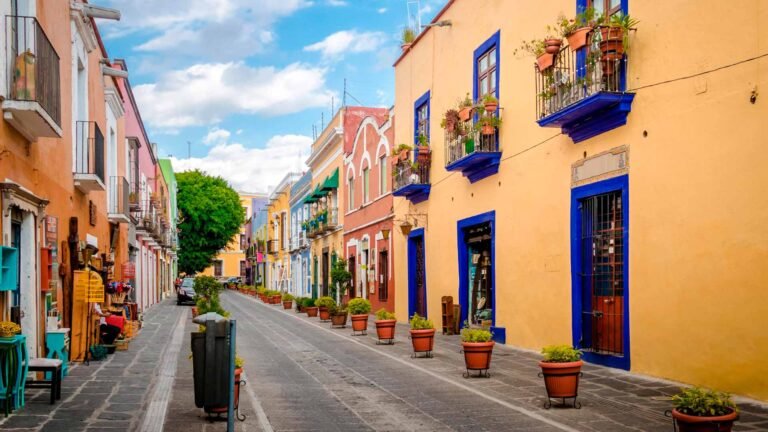 barrios-de-los-sapos