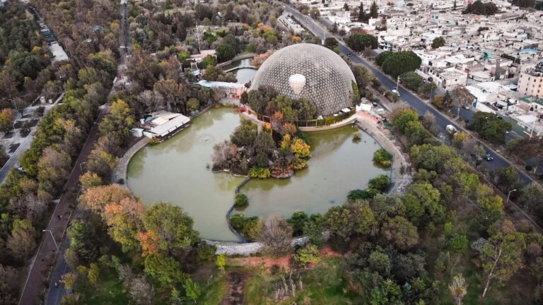 Qué es y por qué debes conocer Arboterra