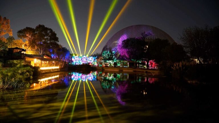 arboterra-nocturno-portada