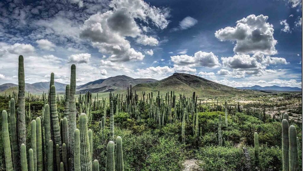 itinerario por tehuacan