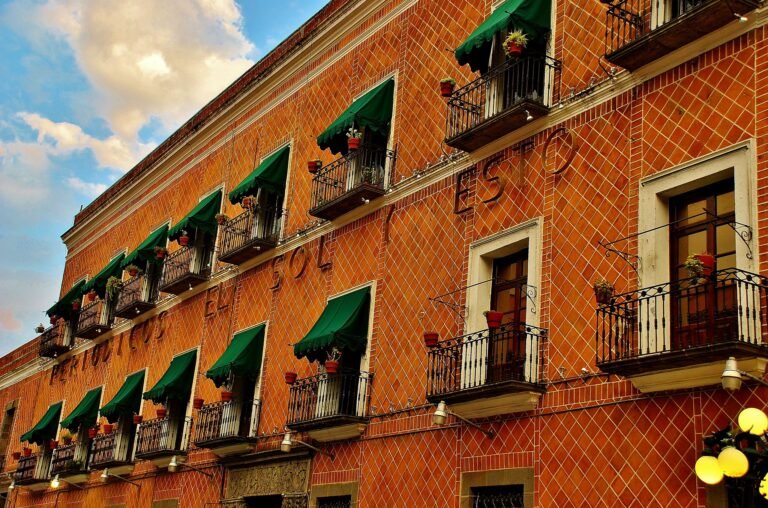 ¿Conoces la Casa del que mató al animal?