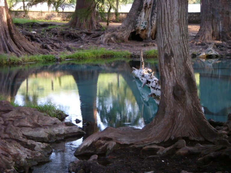 Los Ahuehuetes, un balneario al natural