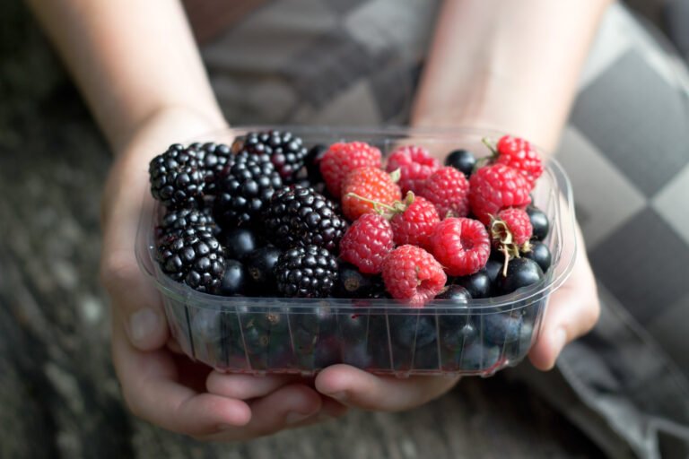 Vive la cosecha de berries en la Sierra Norte de Puebla