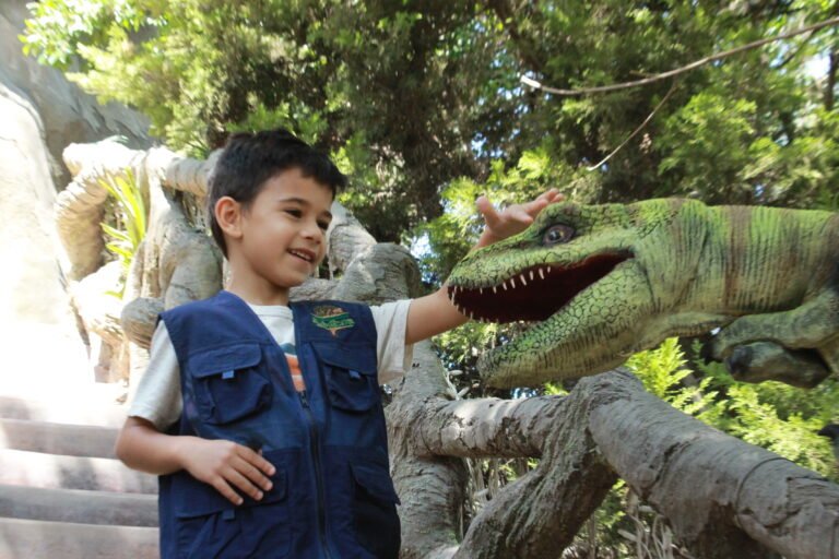 Sigue la ventura en el tiempo en Arboterra