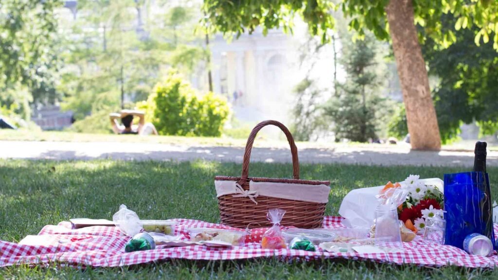 dia-de-campo-en-puebla