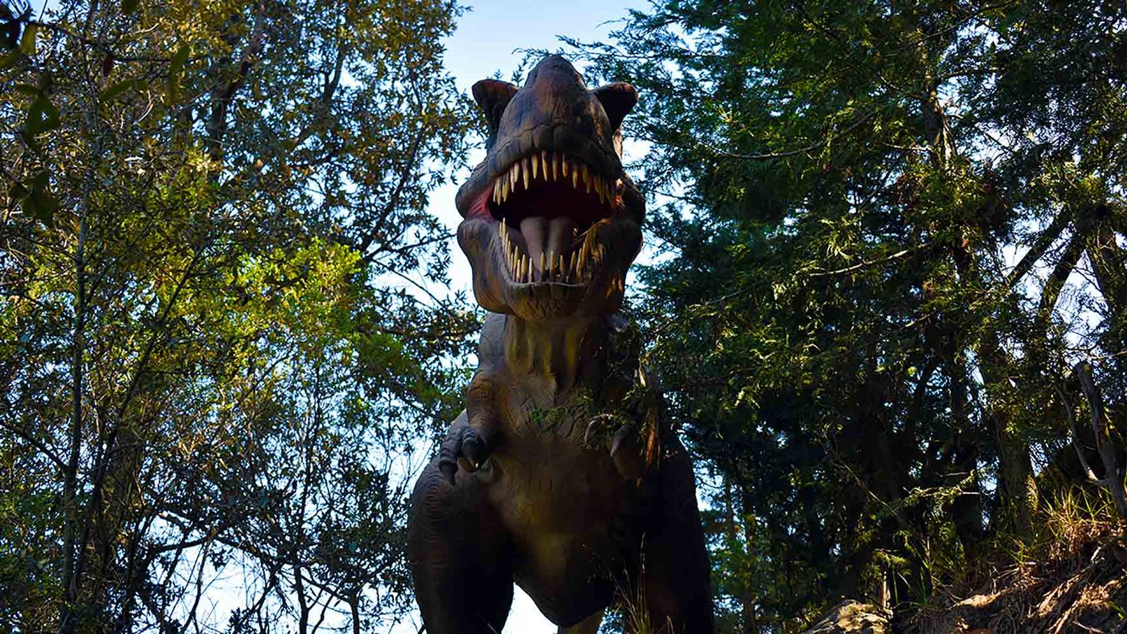 3 lugares para ver dinosaurios en Puebla - Cover Media