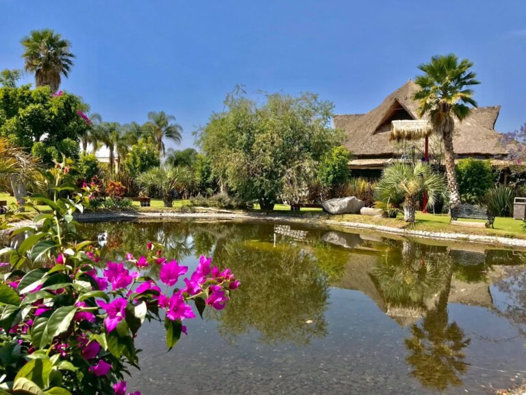 Disfruta el gran buffet mexicano solo en Palmira