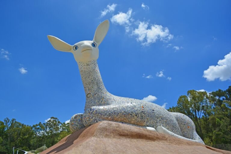 Lánzate a conocer Flor del Bosque