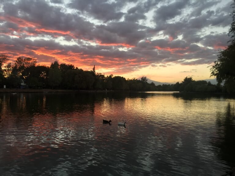 Laguna de San Baltazar, un oasis en la ciudad