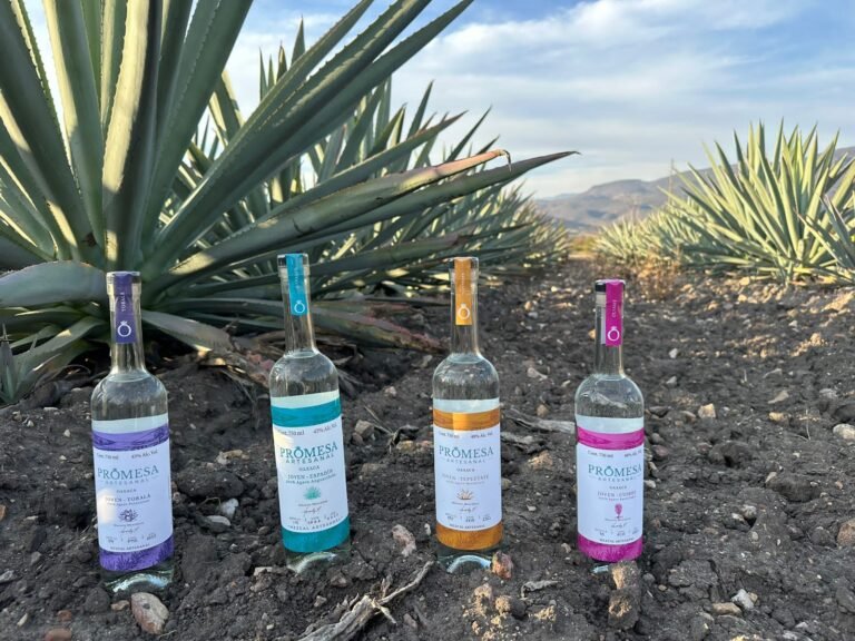 Mezcal Promesa Artesanal, el exquisito sabor de México