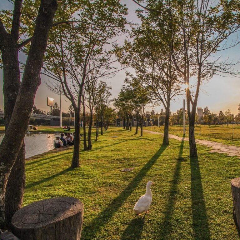 Parque del arte, perfecto para activarte y relajarte