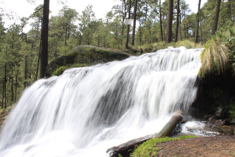 Conoce el hermoso parque ecológico Apatlaco
