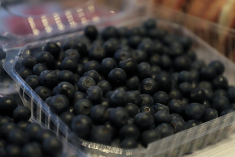 Disfruta la temporada de blueberry en Puebla