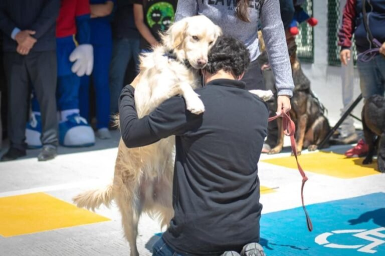 ¿Sabías que la BUAP da apoyo emocional a estudiantes con lomitos?